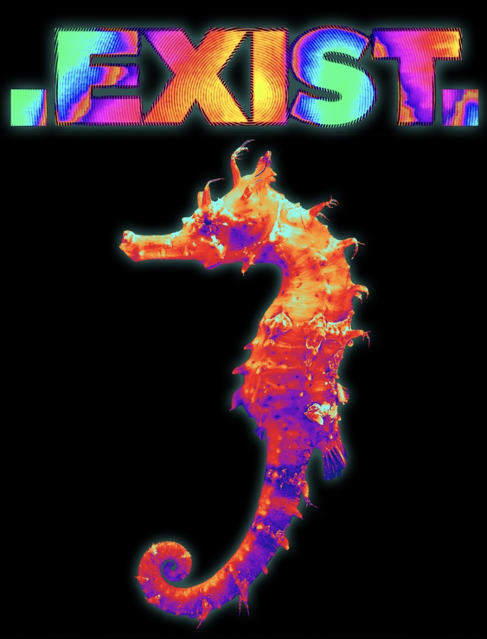 .EXIST. SEA HORSE